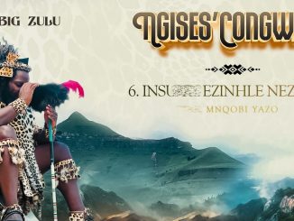 Big Zulu - Insuku Ezinhle Nezimbi Ft. Mnqobi Yazo [ Official Audio ]