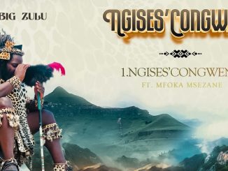 Big Zulu - Ngises'Congweni